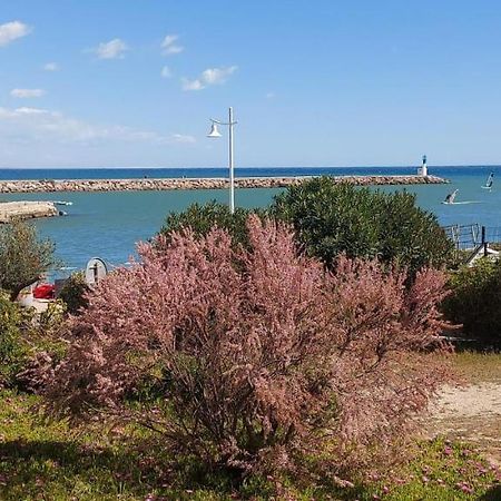 T3 Carnon, 1Ere Ligne 50M Plage Terrasse Parking Могио Экстерьер фото